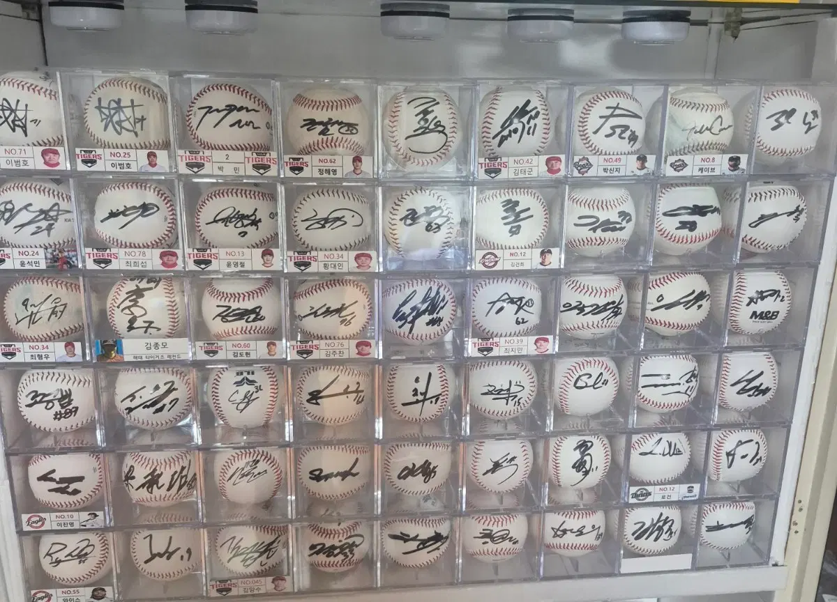 사인볼 세트