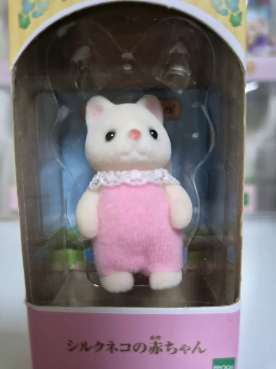 실바니안 실크 고양이 아기