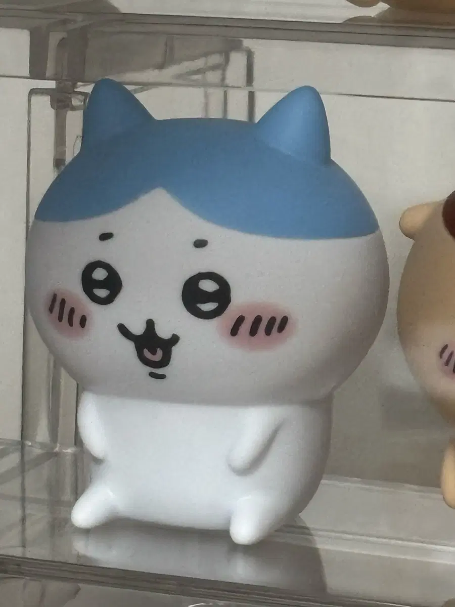 하치와레 소프비 가챠