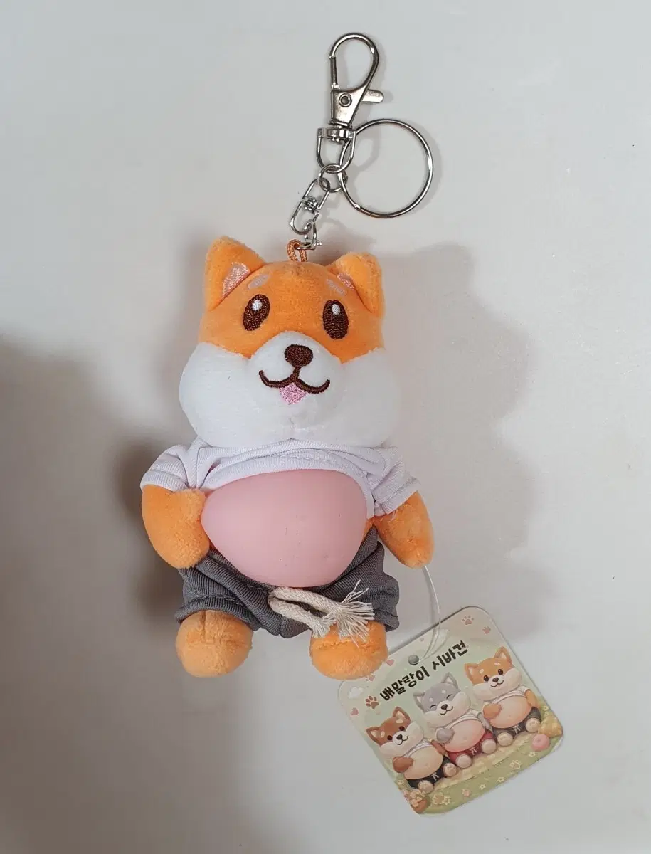 배말랑이 시바견 인형 키링 새상품