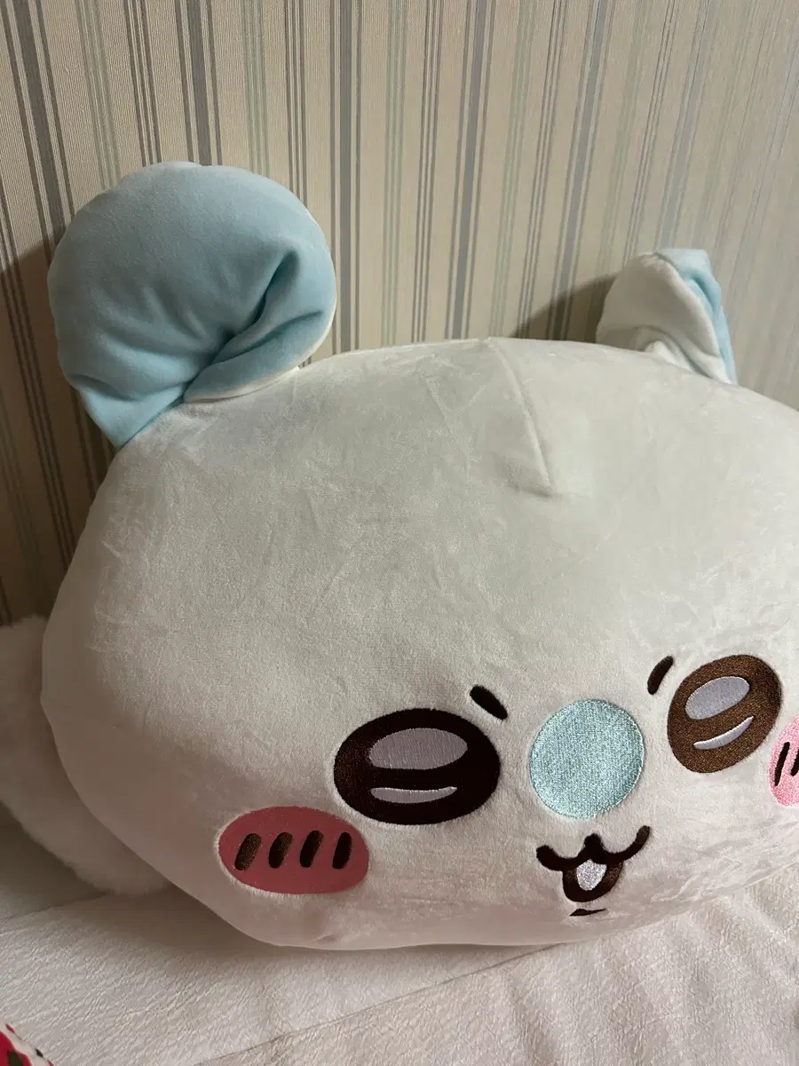 치이카와 모몽가 페이스 쿠션 일본 정품