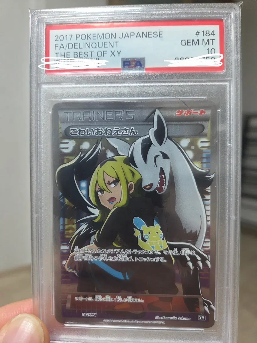 the best of xy 무서운 아가씨 psa10 일판