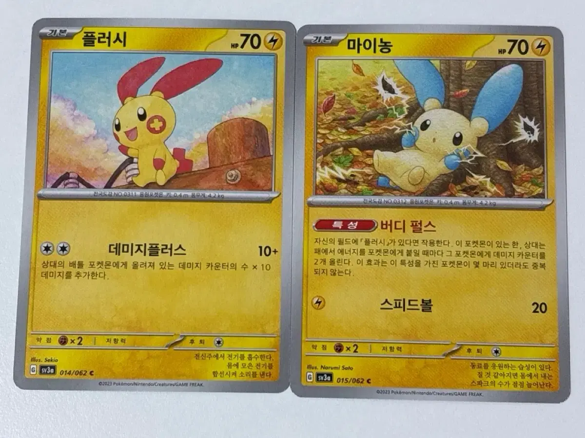포켓몬카드 플러시+마이농 sv3a