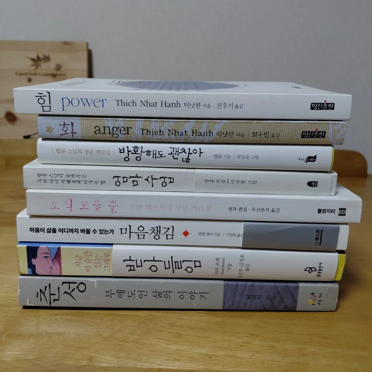 틱낫한 힘 법륜스님 방황해도괜찮아 마음챙김 받아들임 등8종