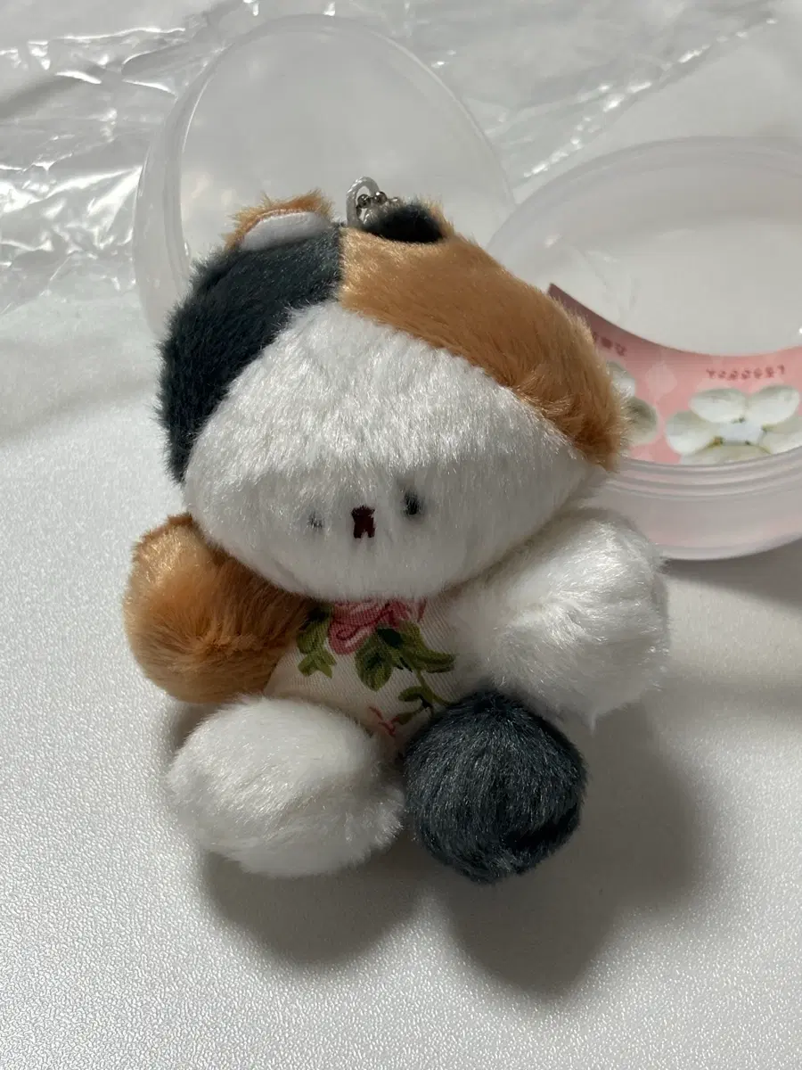 인형 가챠
