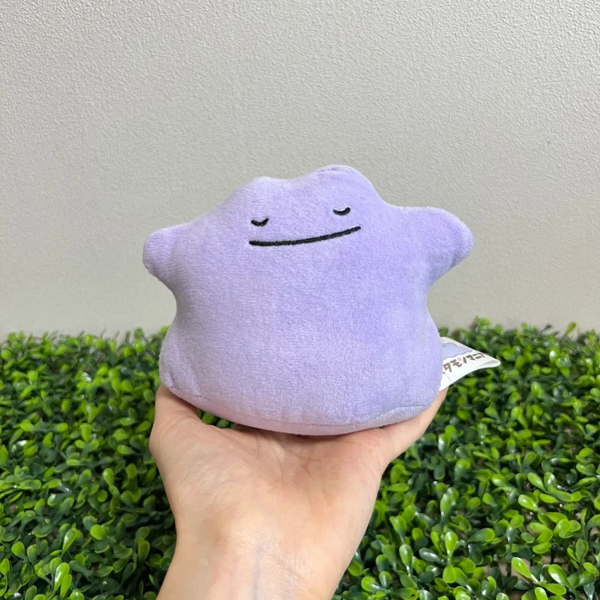 메타몽 마니아 인형 포켓몬스터 누이