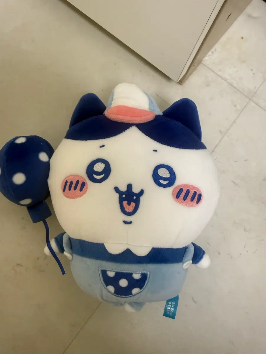 하치와레 유원지 누이
