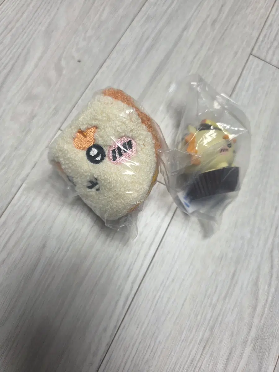 시사 세트