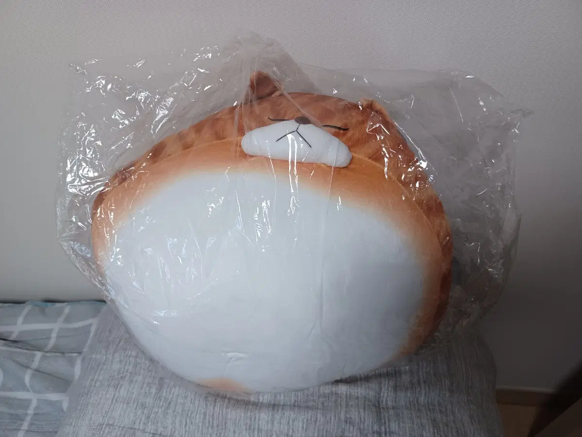 토이웍스 친구들 뚱냥이 치즈/고등어 50/45센치