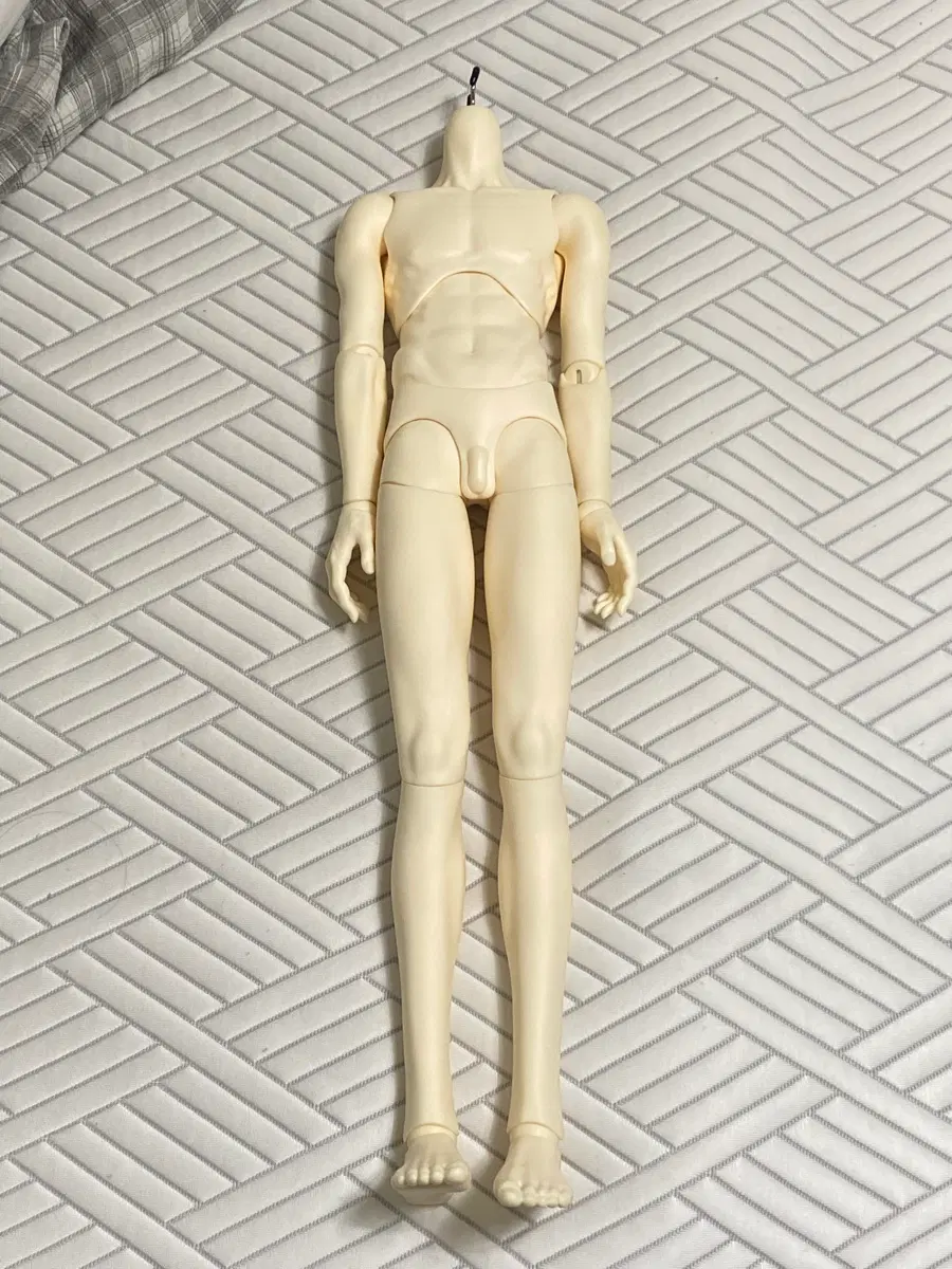 스위치 어트랙티브 65 바디 미백