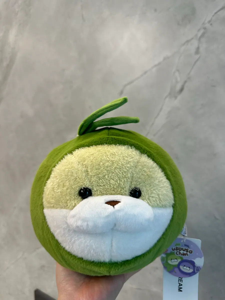 우소우소 인형 (녹차)