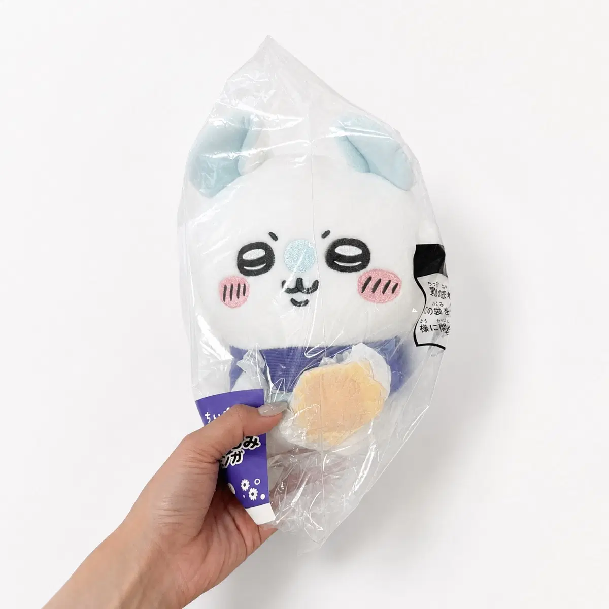 치이카와 여름쿠지 모몽가 누이