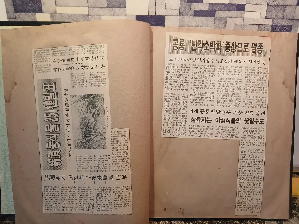 자연보존형 레드데이터북 희귀동식물 251종 발표