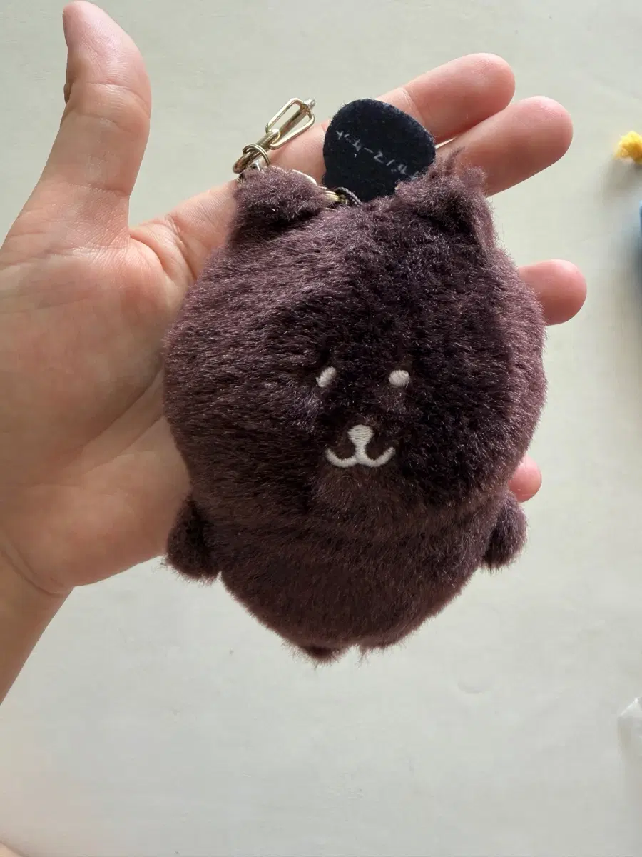 나가노마켓 농담곰 초코곰