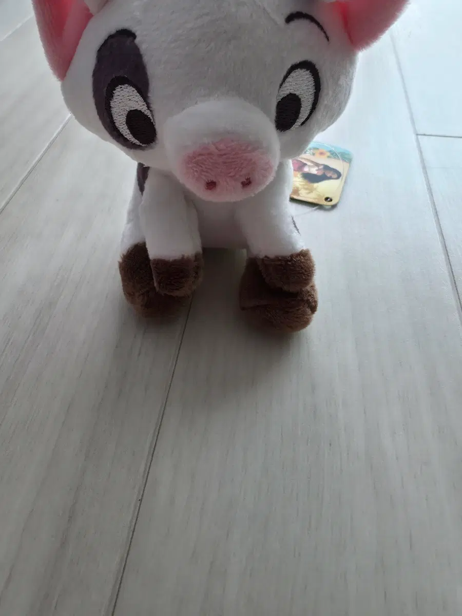 정품 모아나 소 키링 인형 팝니다