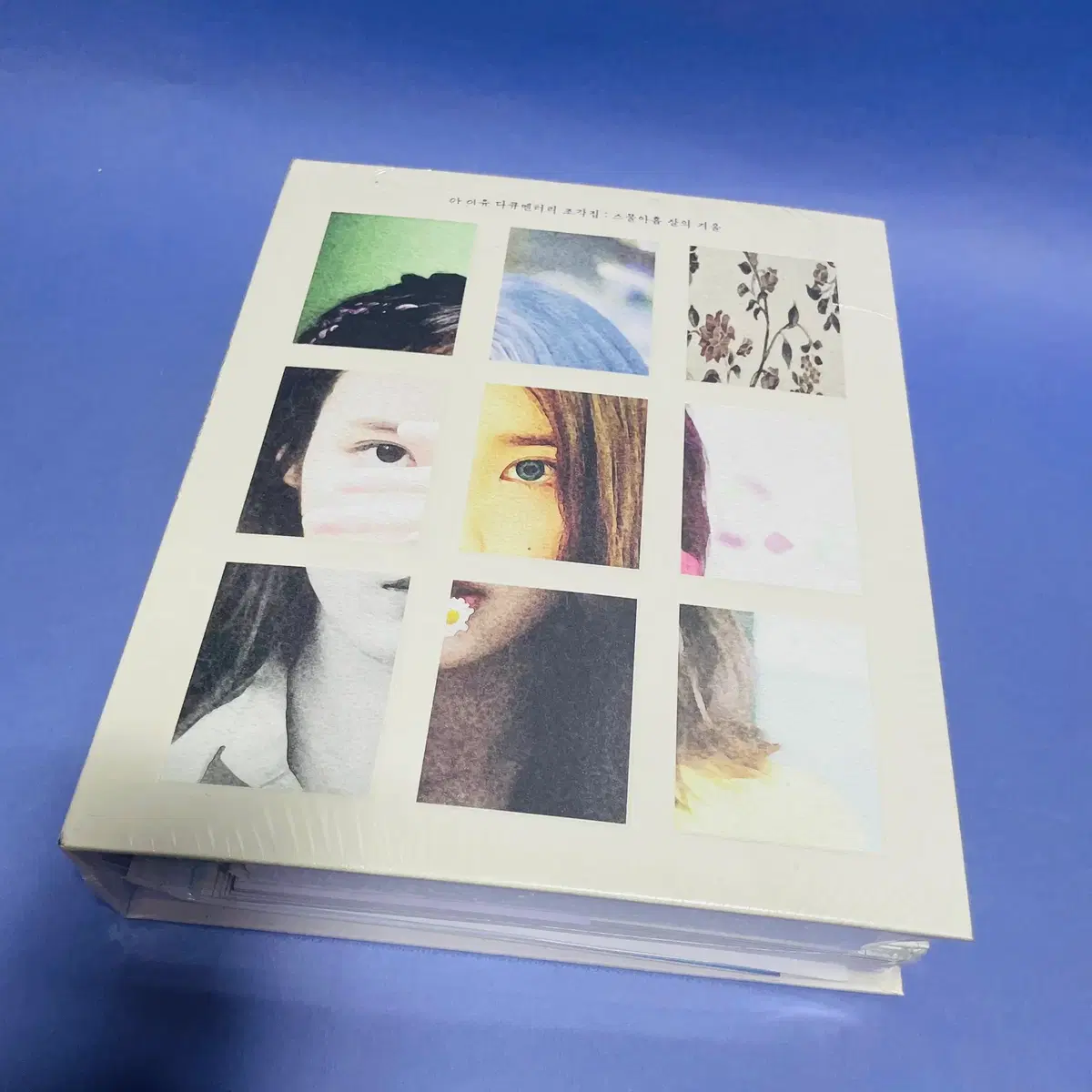 [미개봉/DVD] 아이유 (IU) 다큐멘터리 - 조각집 : 스물아홉 살의 겨울