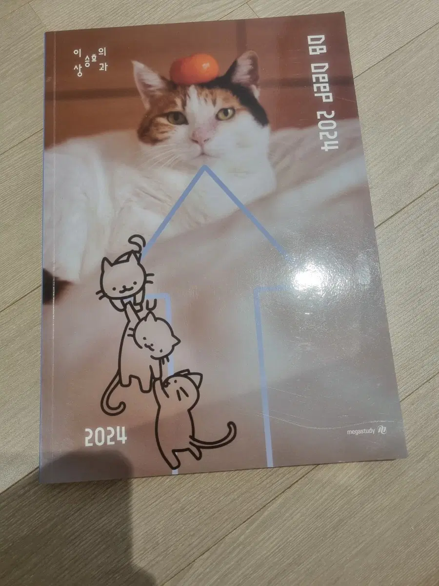 이승효 메가스터디 수학 문제집