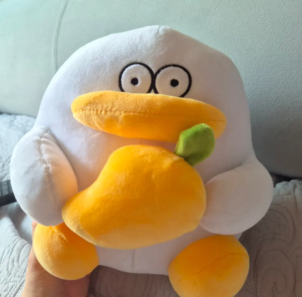 오둥이 뉴 망고 중형 인형