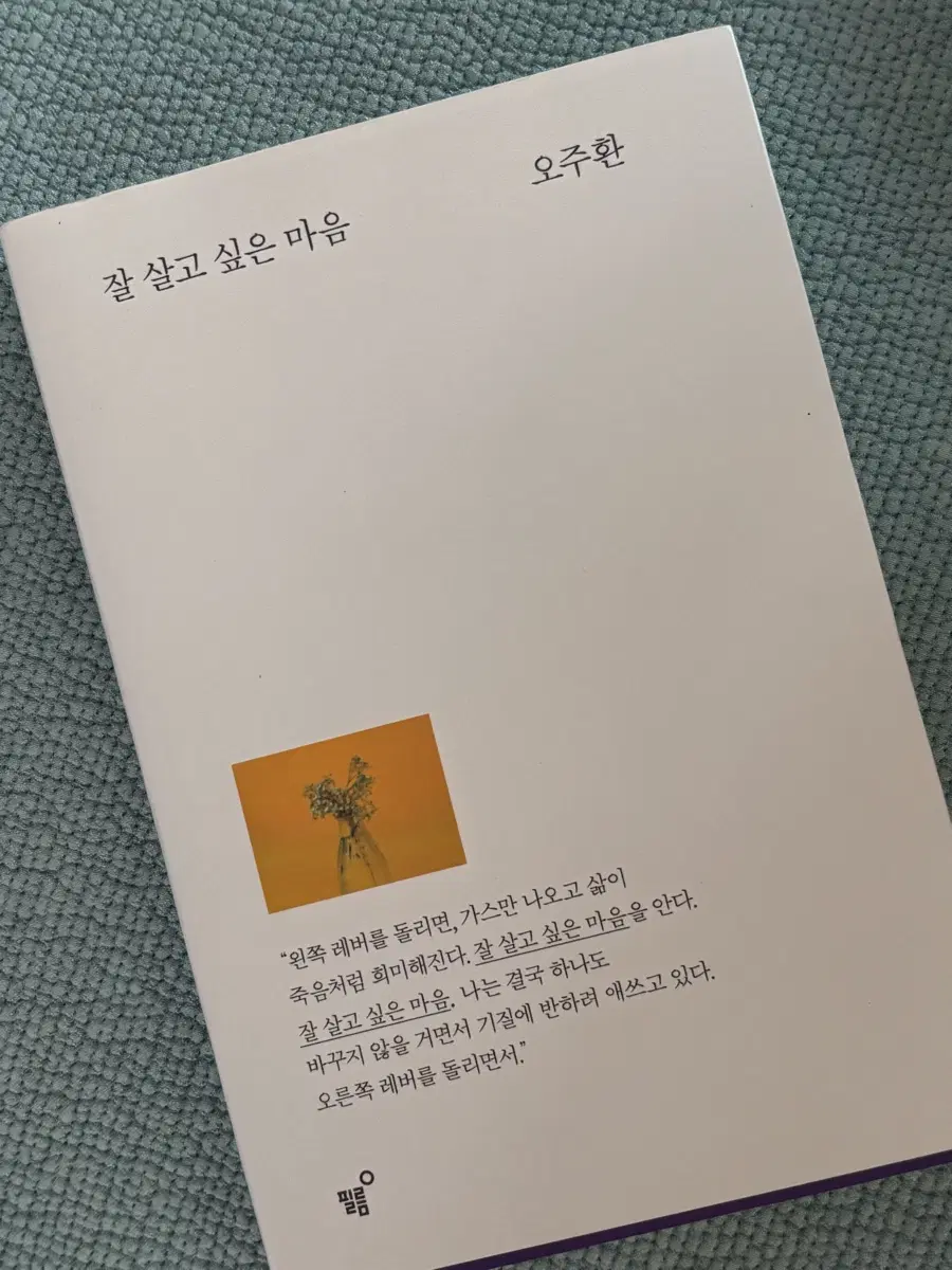 아도이 ADOY 잘 살고 싶은 마음 오주환 cd lp