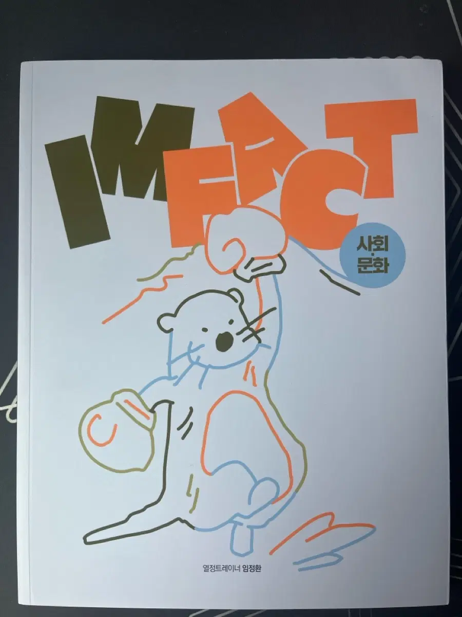 대성마이맥 임정환 IMFACT 사회 문화(미사용)