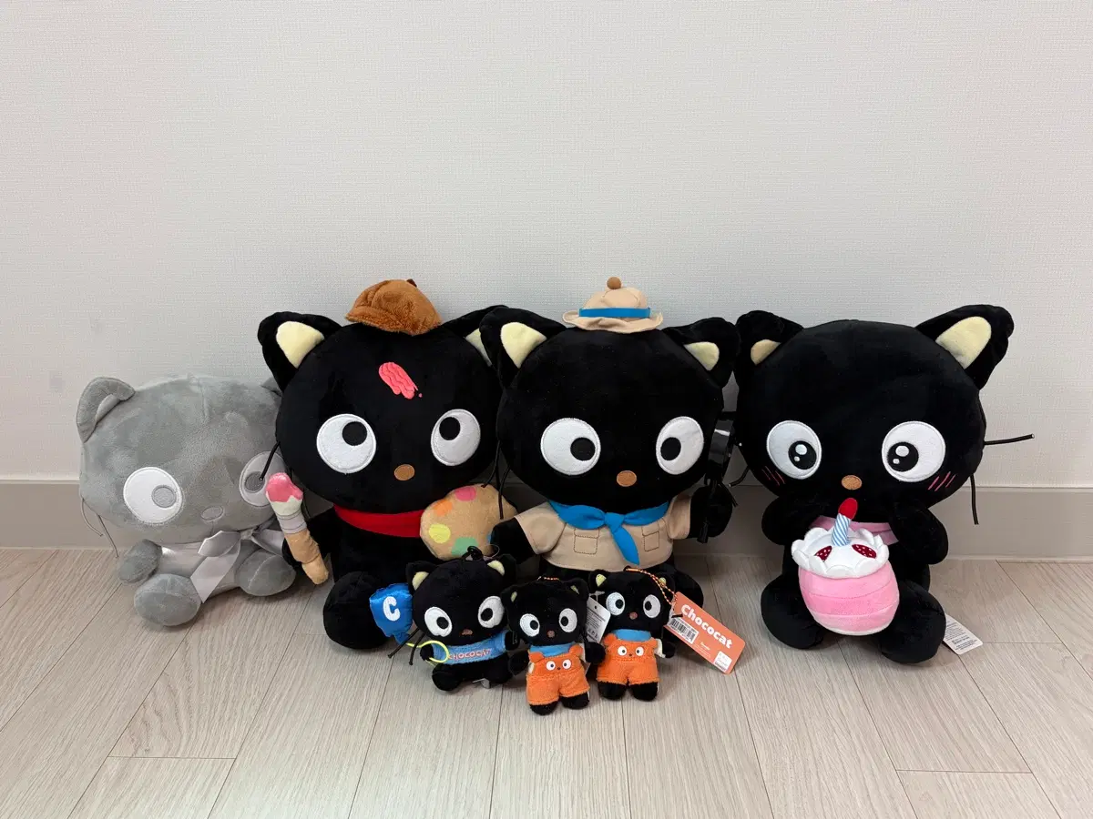 산리오 초코캣 인형 일괄판매