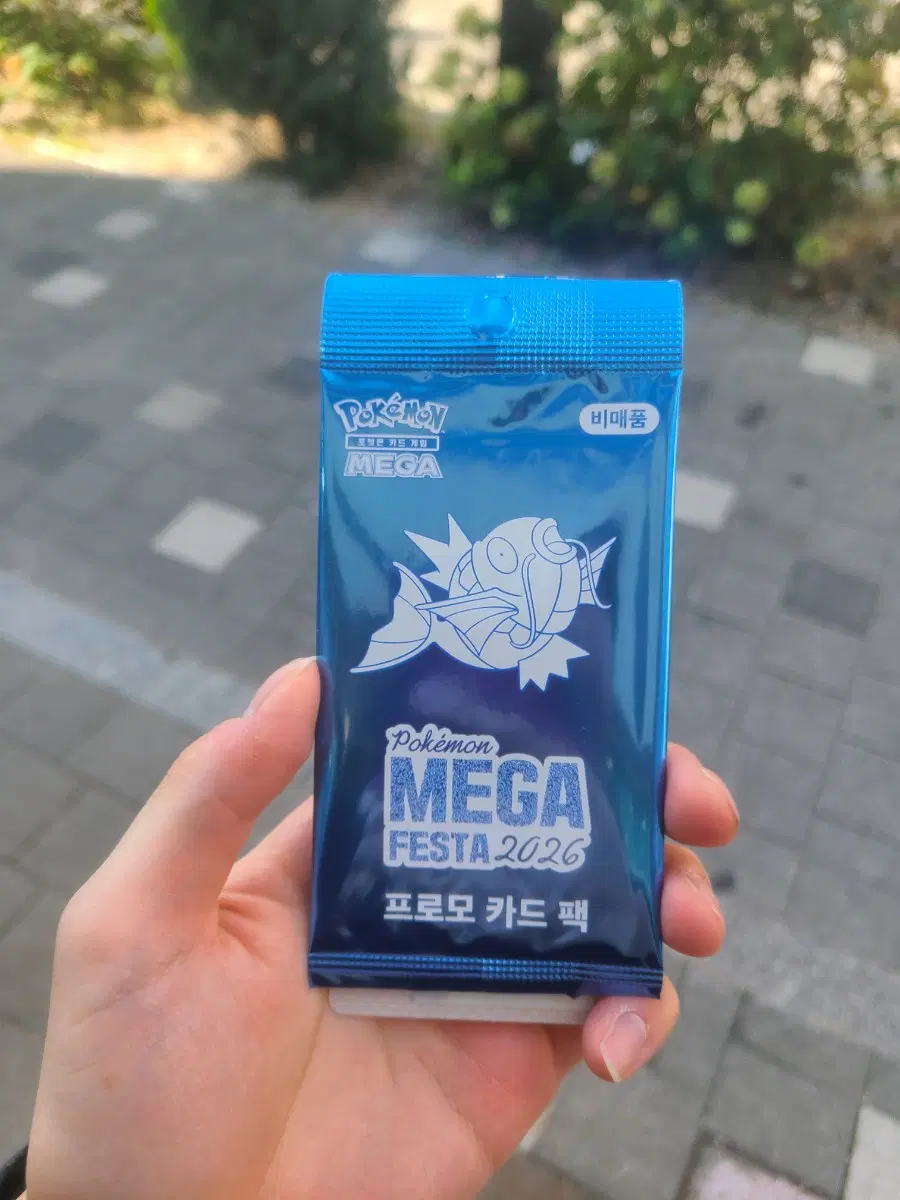 프로모 포켓몬 카드 잉어킹