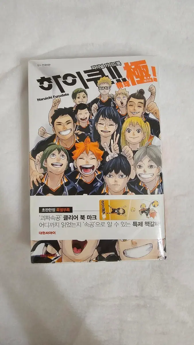 하이큐 파이널 가이드북