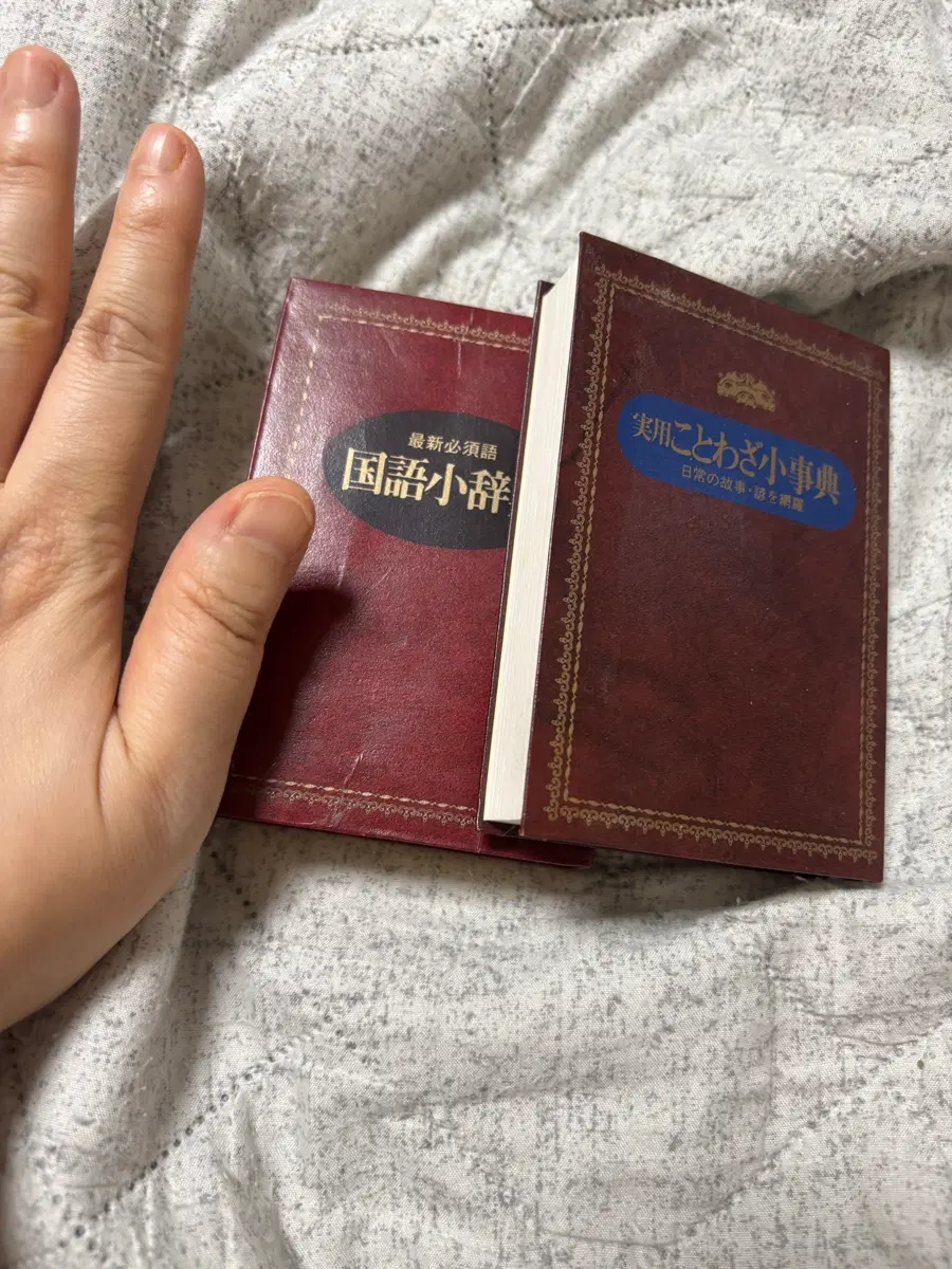 미니 일어 (일일) 소사전 속담 소사전