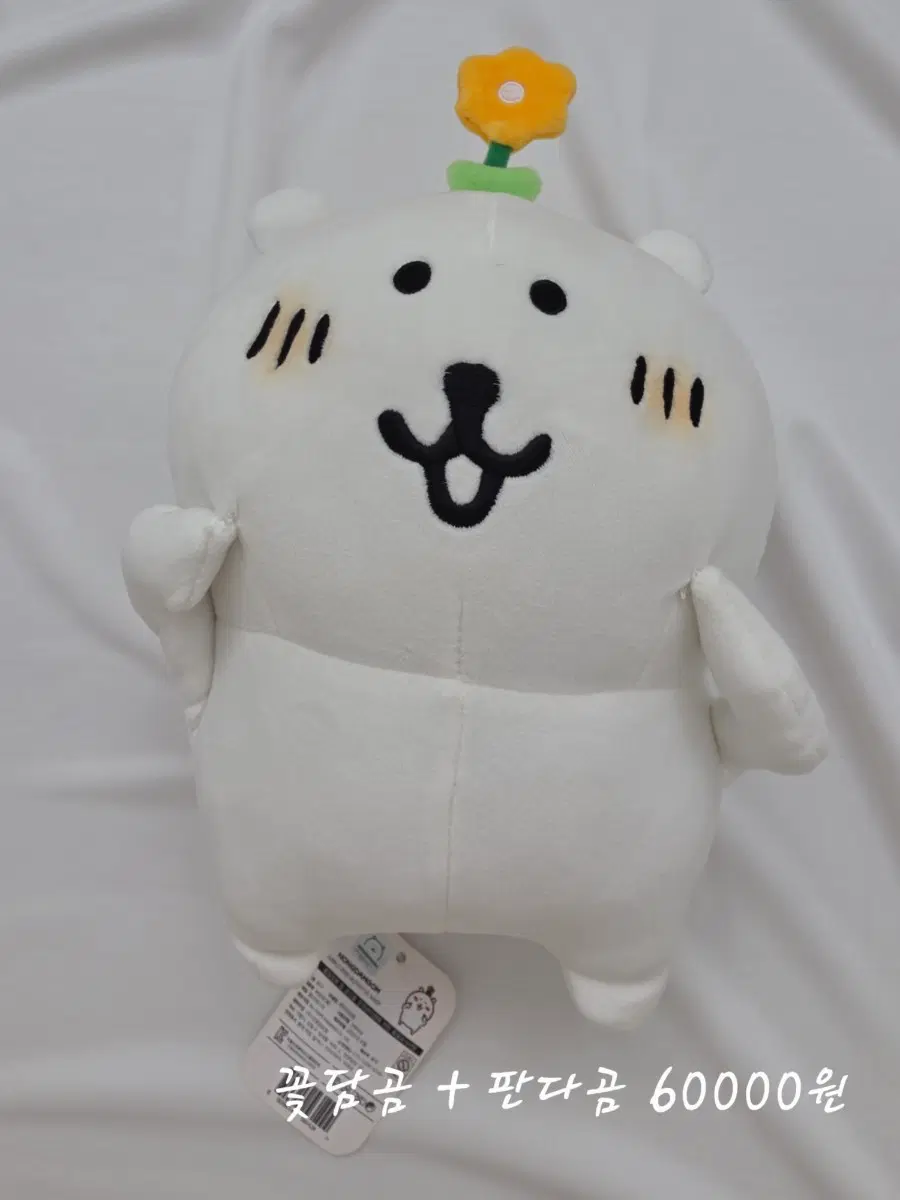 비플랏 꽃담곰 판다곰