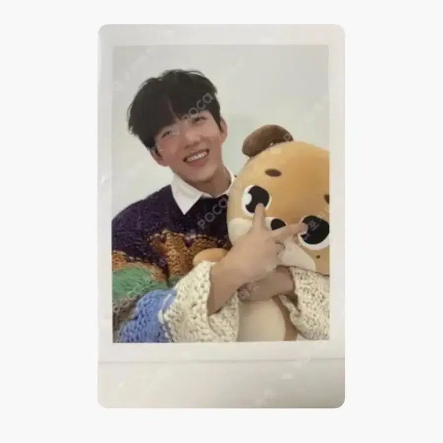 데이식스 도운 자이언트 데니멀즈 포카