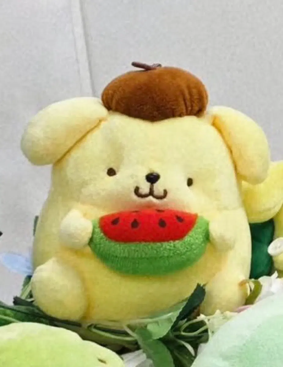 [구해요] 사진 속 수박 폼폼푸린 구합니다!!