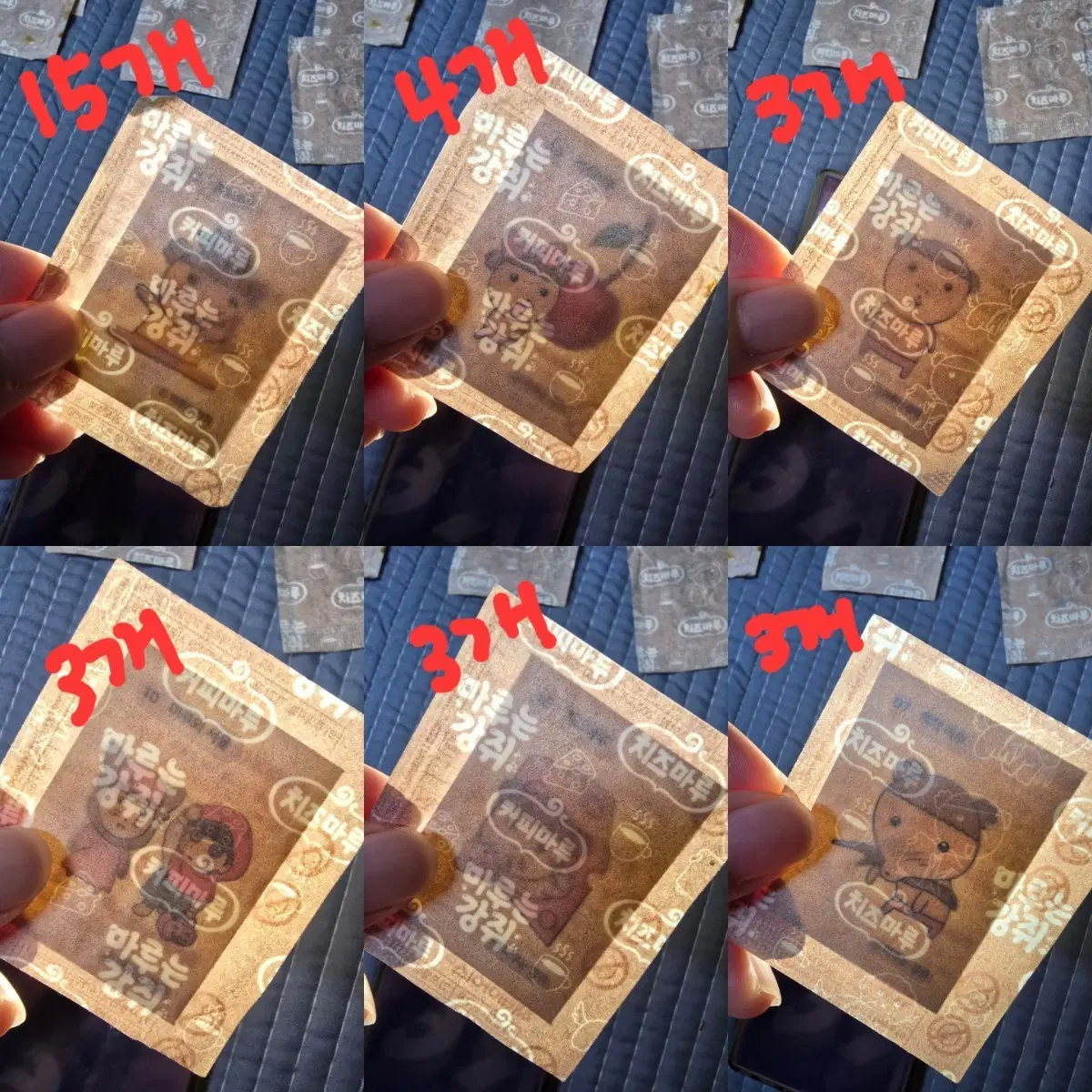 마루는 강쥐 띠부실 41개 일괄(치즈마루,커피마루)