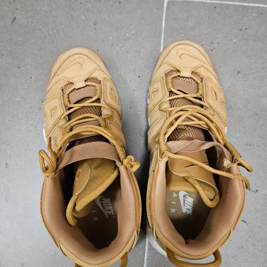 나이키 업템포 된장 270