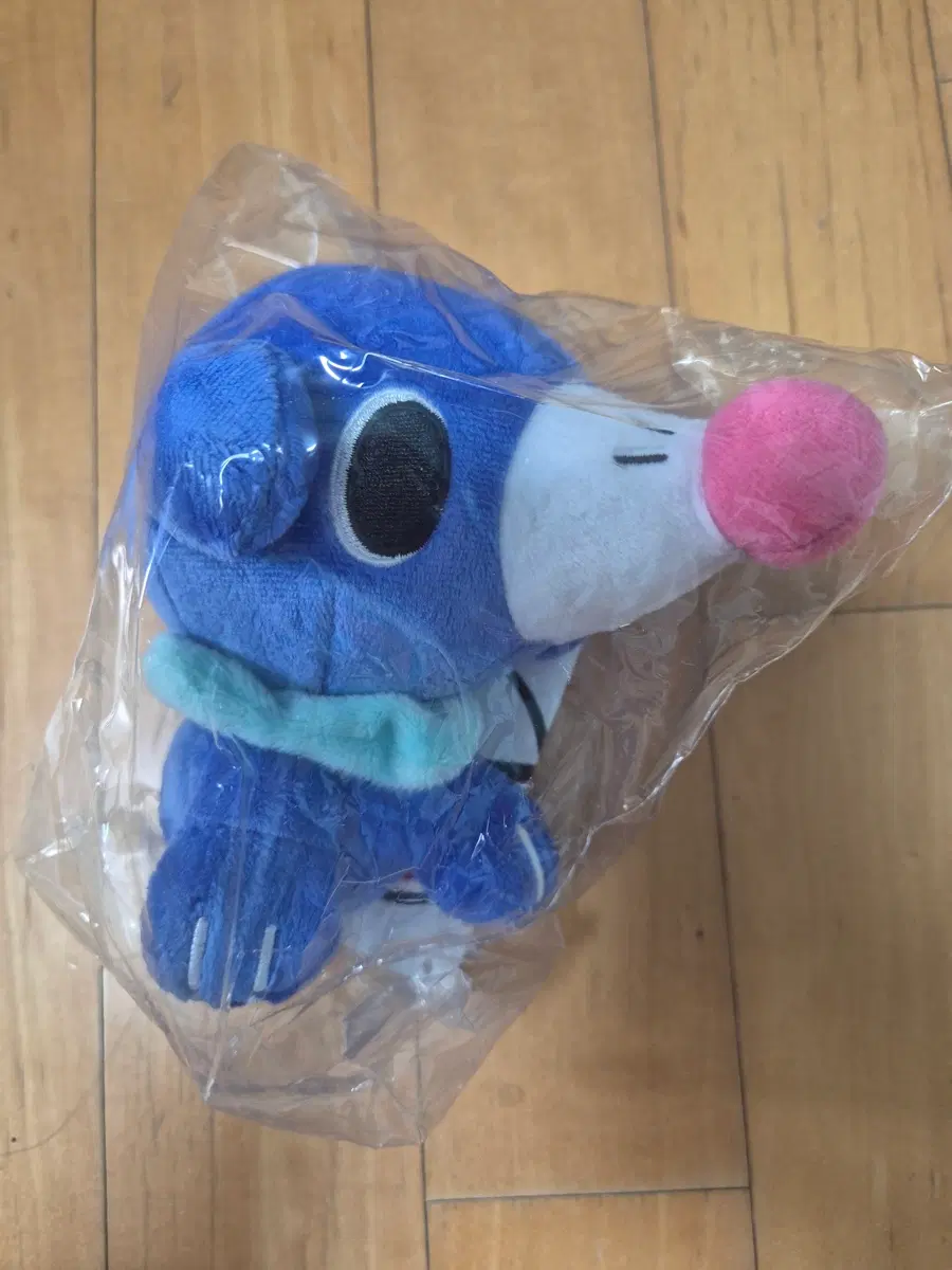 포켓몬스터 누리공 돌즈