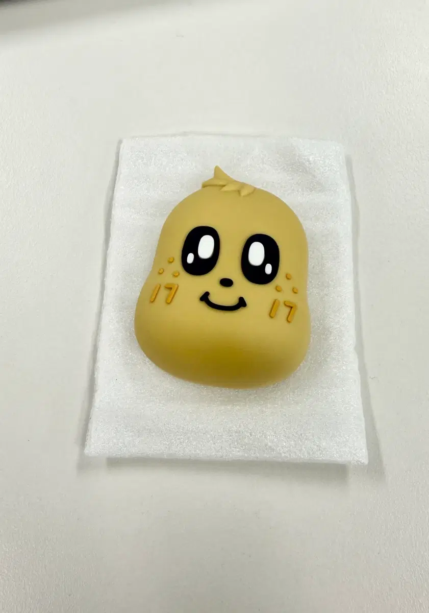 미니틴 럭드 마그넷 킴자
