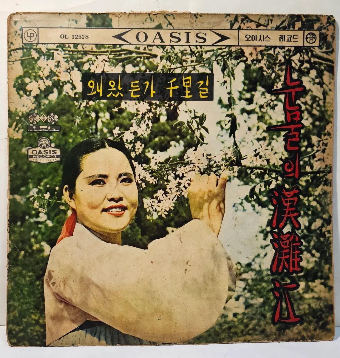 눈물의한탄강 LP
