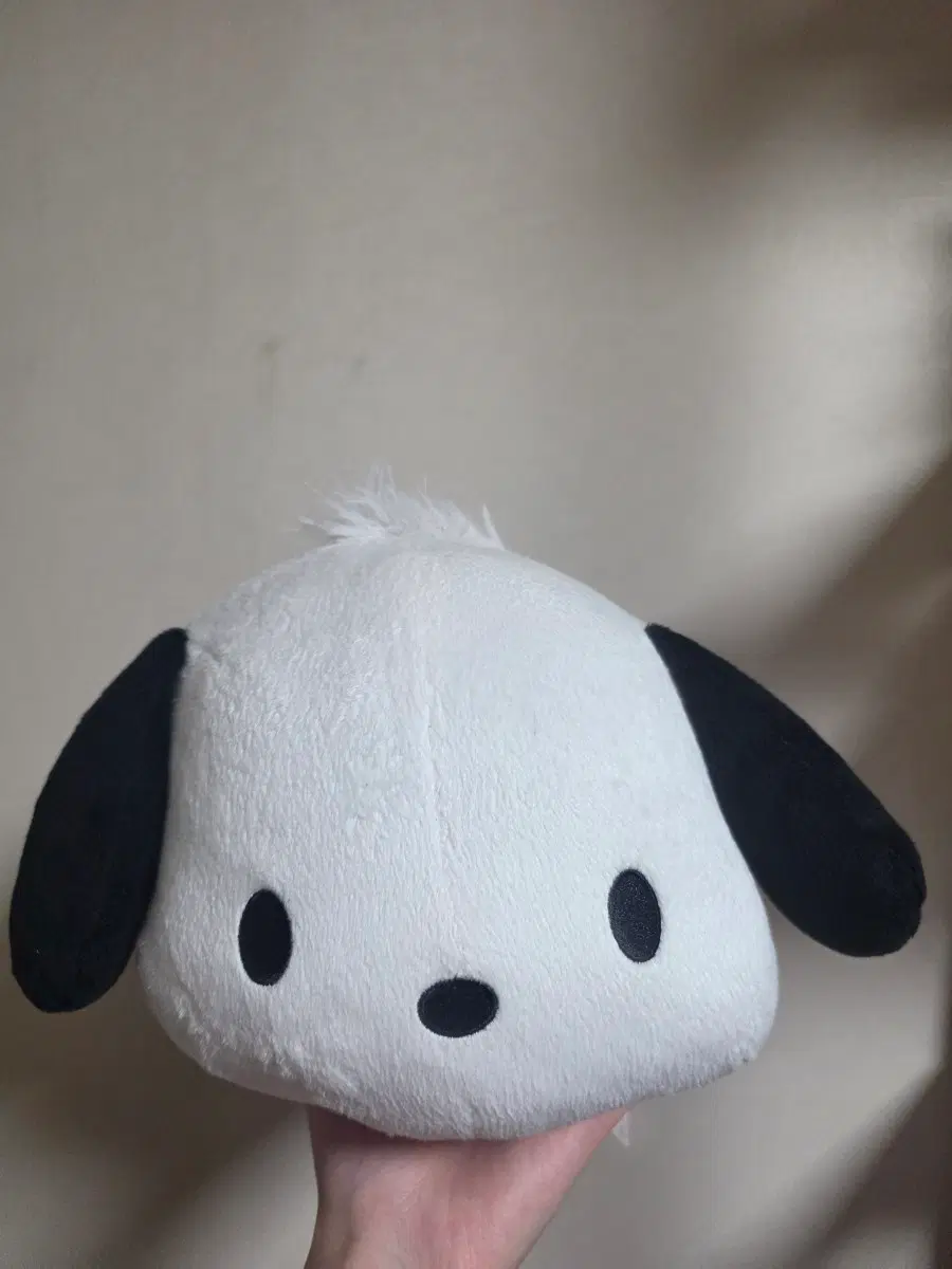 주술회전 산리오 캐릭터즈 콜라보 함께 자자 big 인형 포챠코(배송비포함)