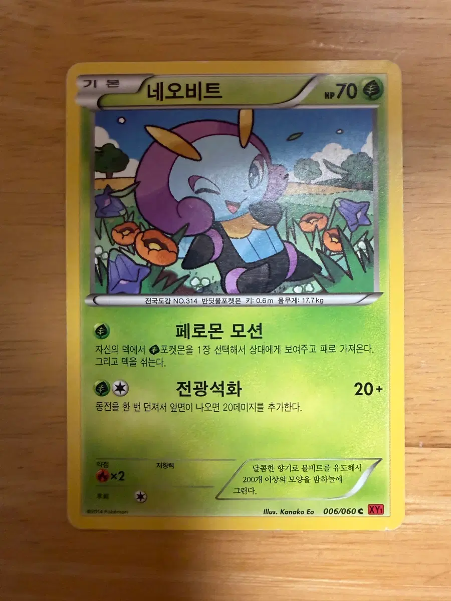 포켓몬 카드 네오비트 XY1