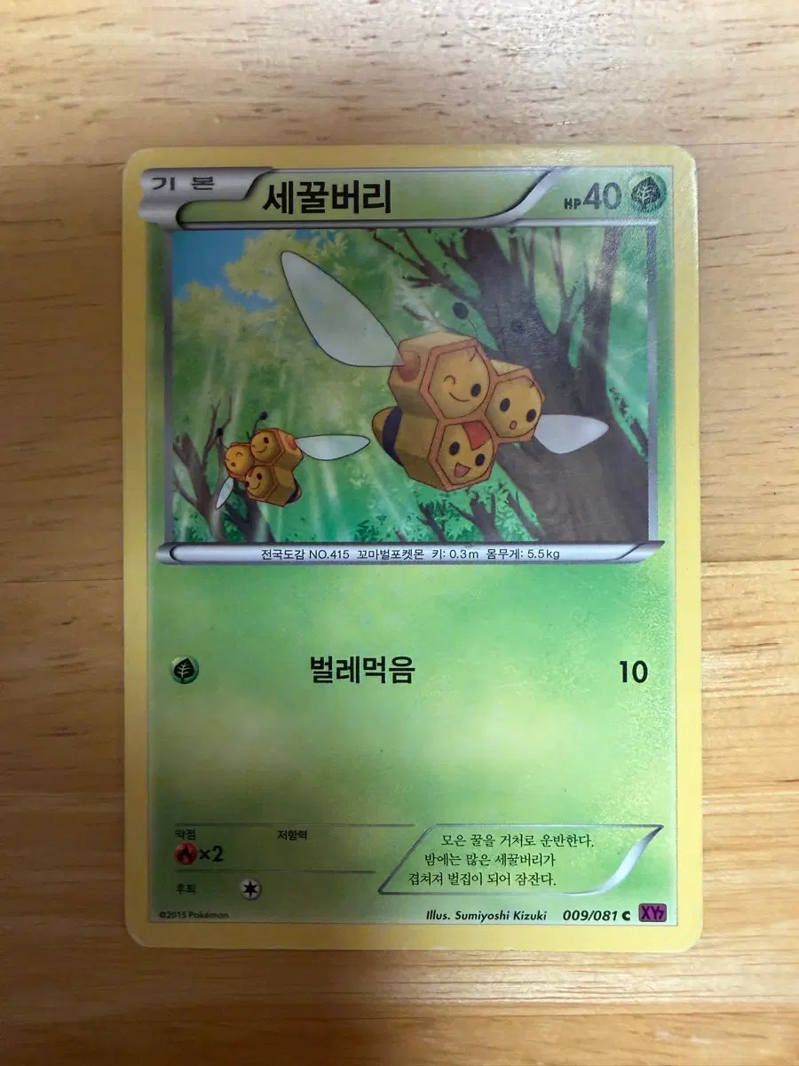 포켓몬 카드 세꿀버리 벌레먹음