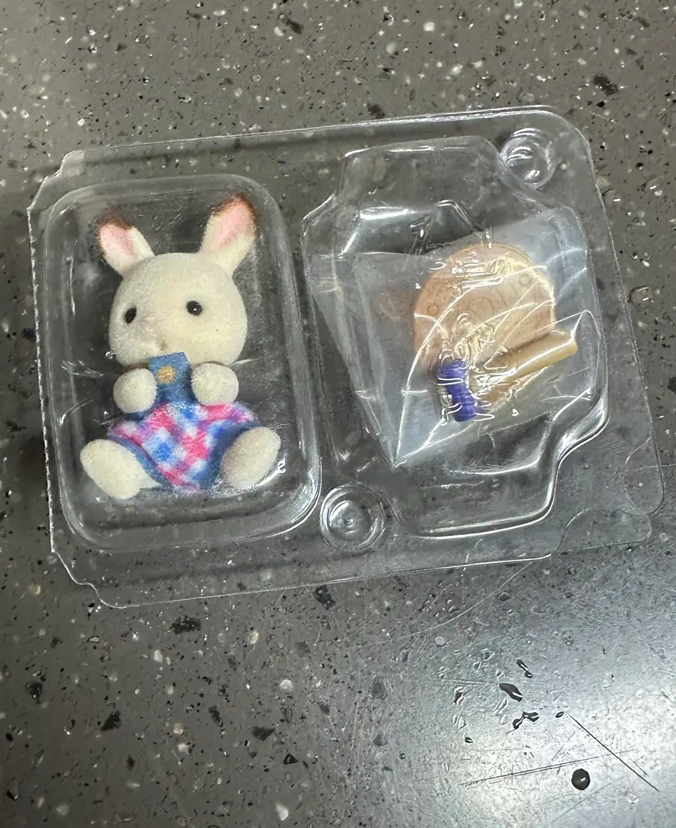 실바니안 토끼