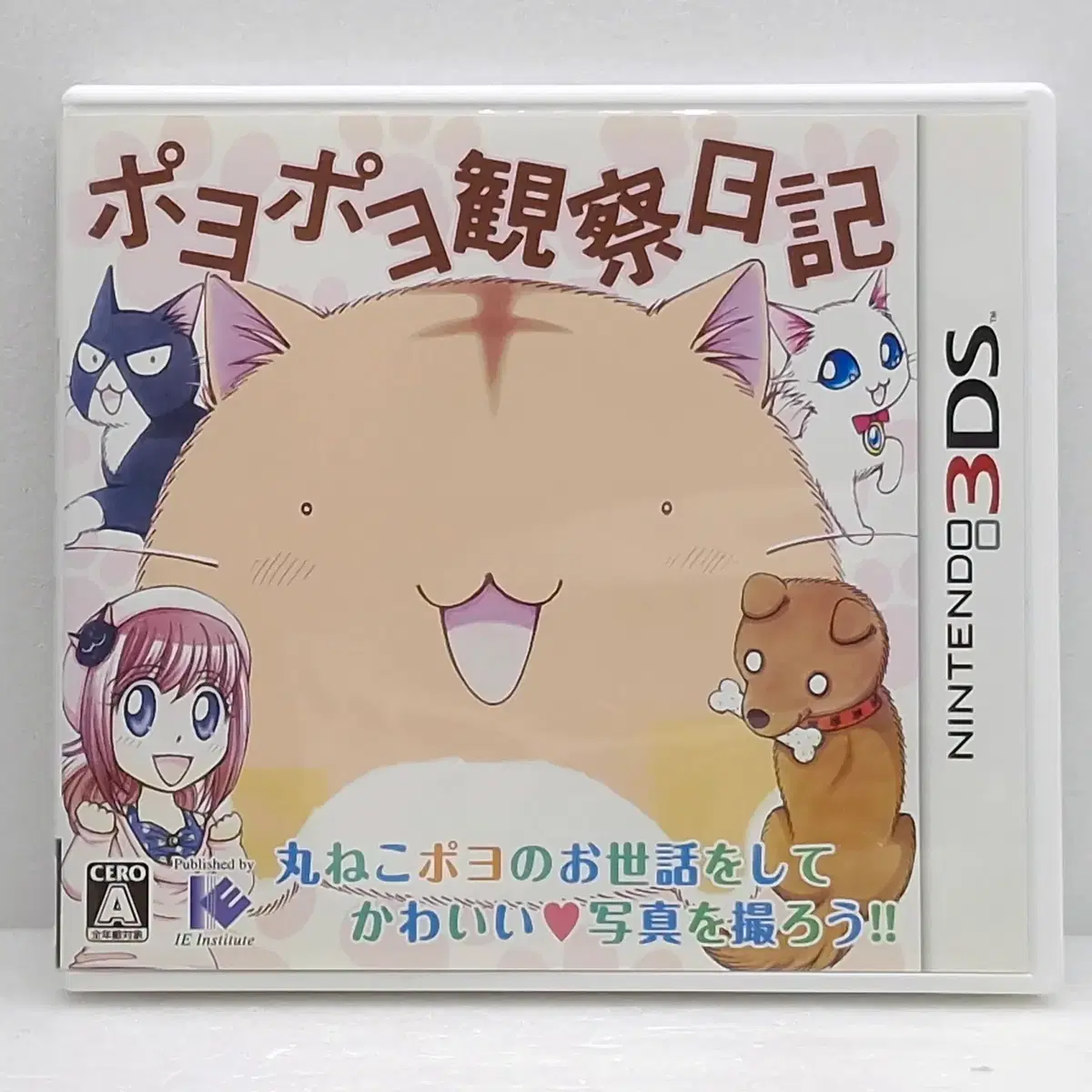 닌텐도 포요포요 관찰 일기 일본판(3DS1495)