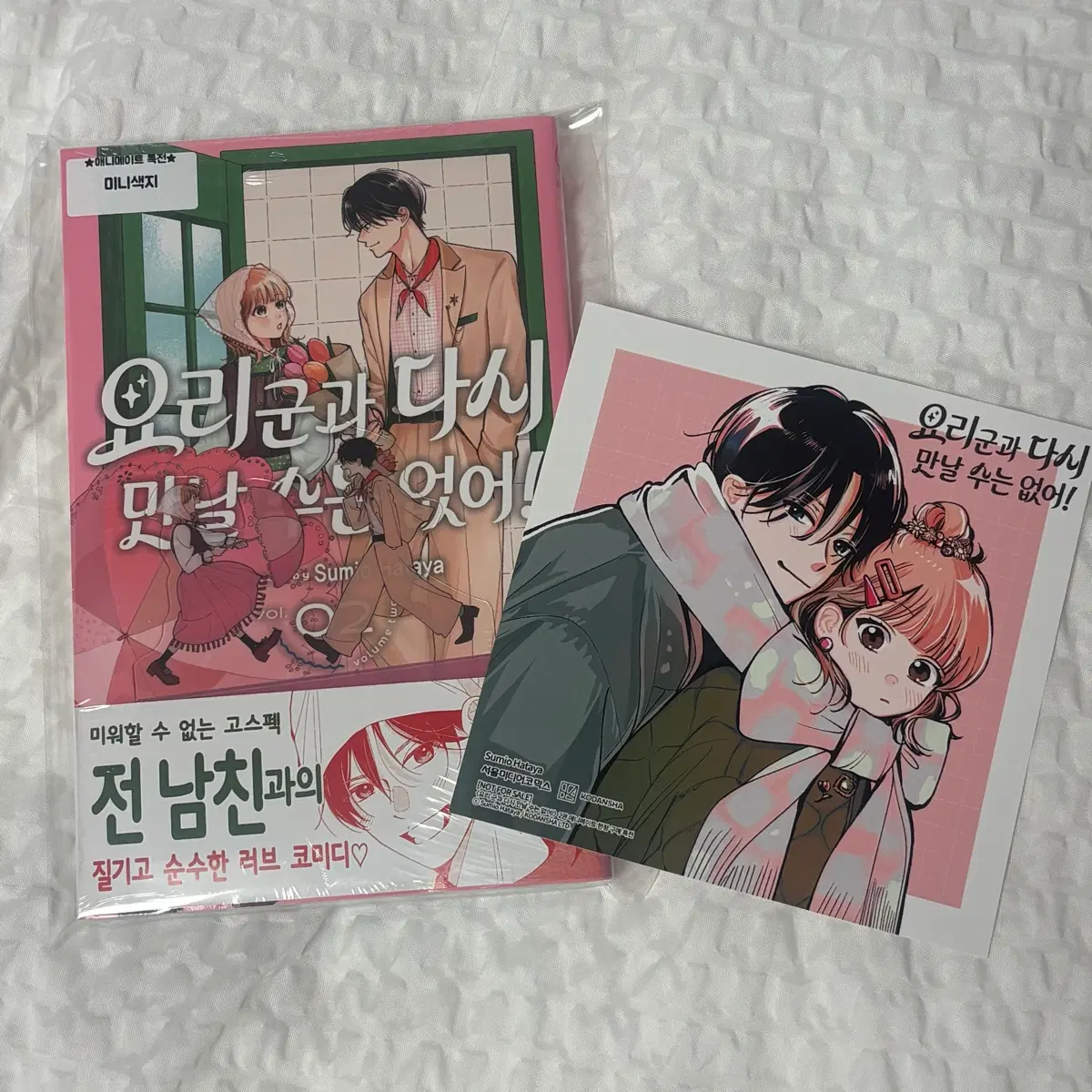 요리군과 다시 만날 수는 없어! 순정만화 만화책 초판 애니메이트 특전 양도