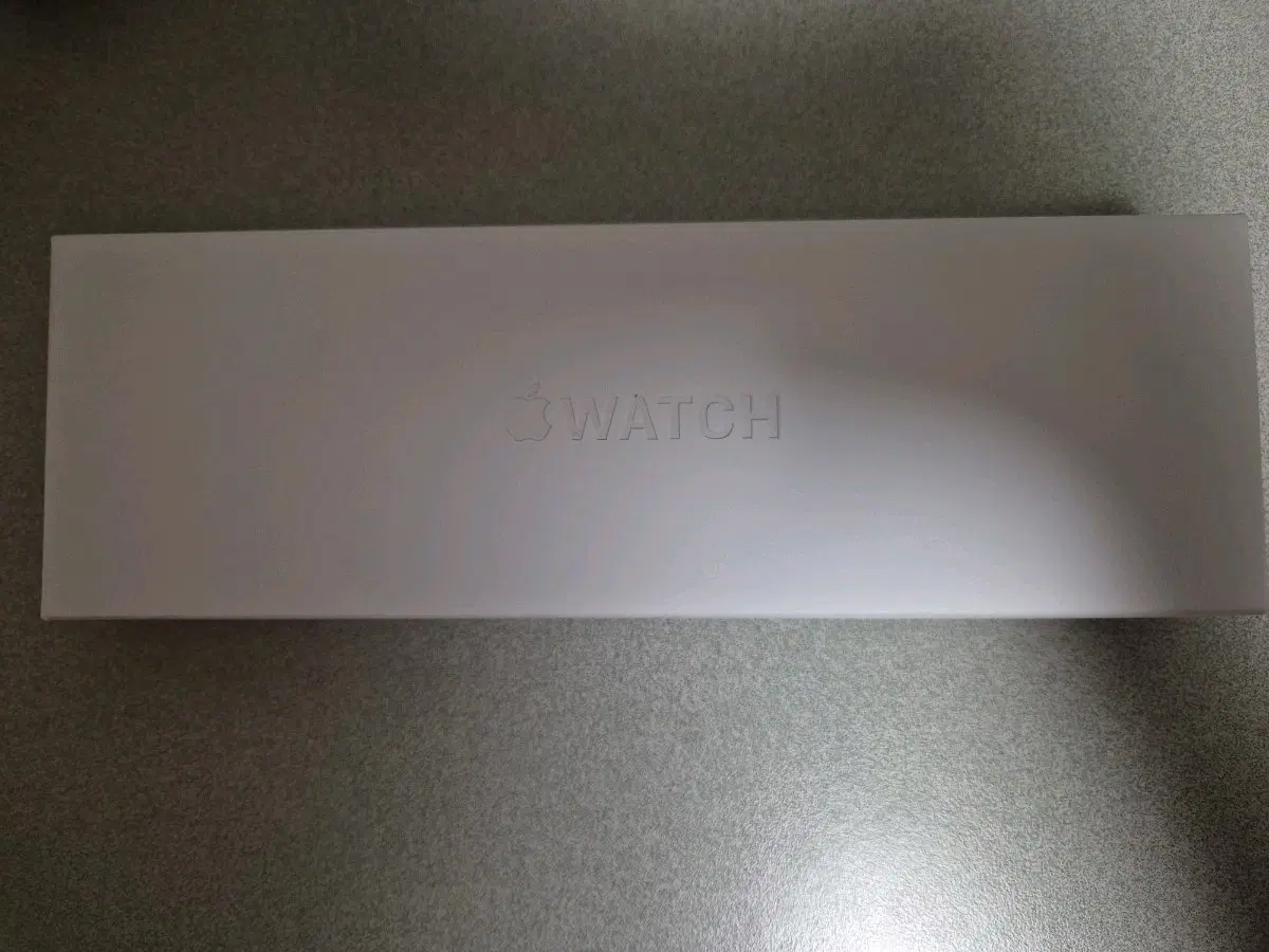 애플워치10 46mm 실버 알루미늄