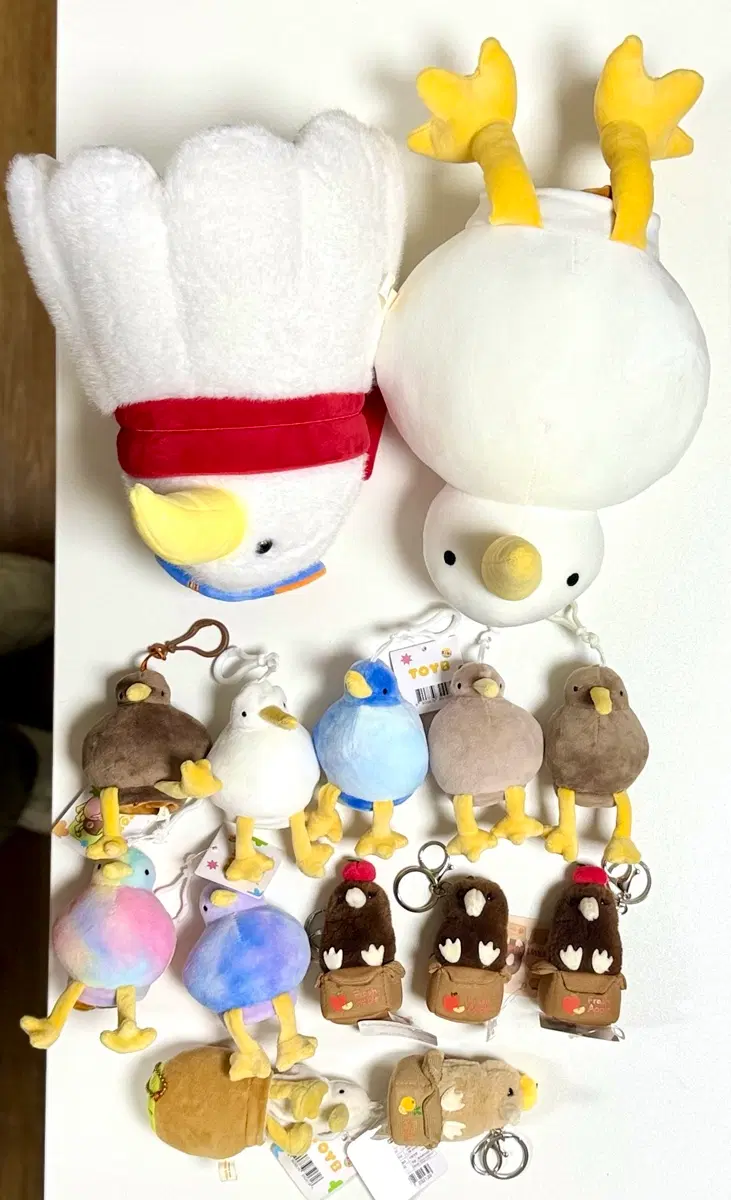 kiwibirds 키위새 중형인형뽑기 열쇠가방고리 키링인형 일괄 처분