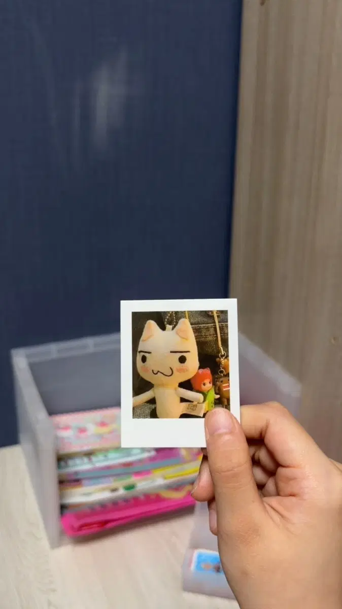도코데모잇슈 토로 지류