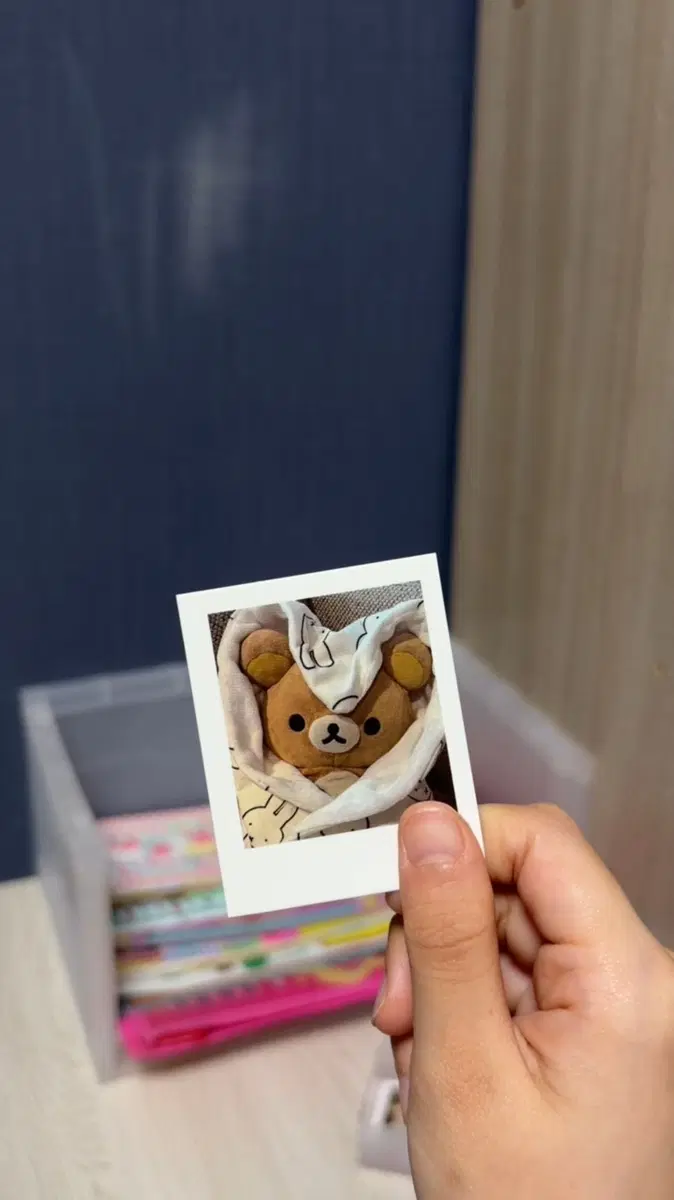 리락쿠마 지류