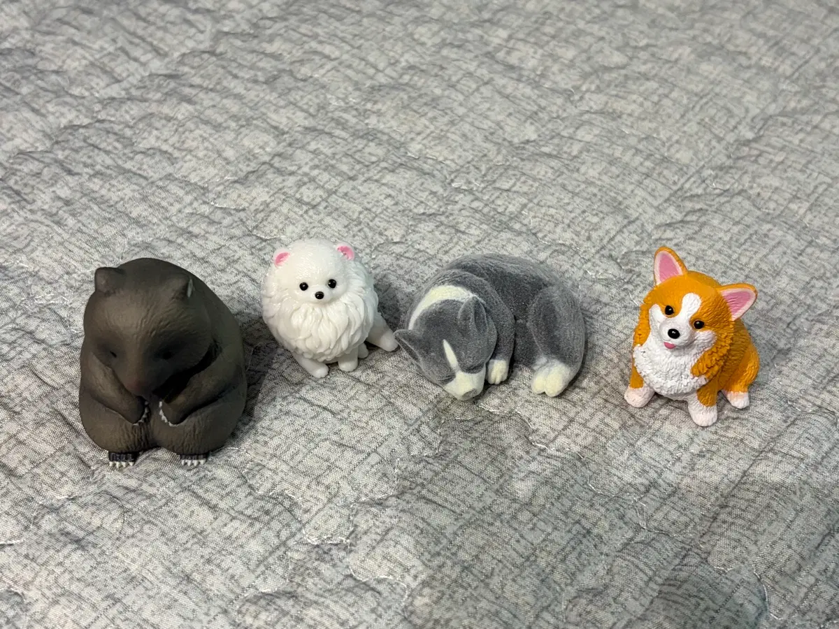 동물 가챠 세트