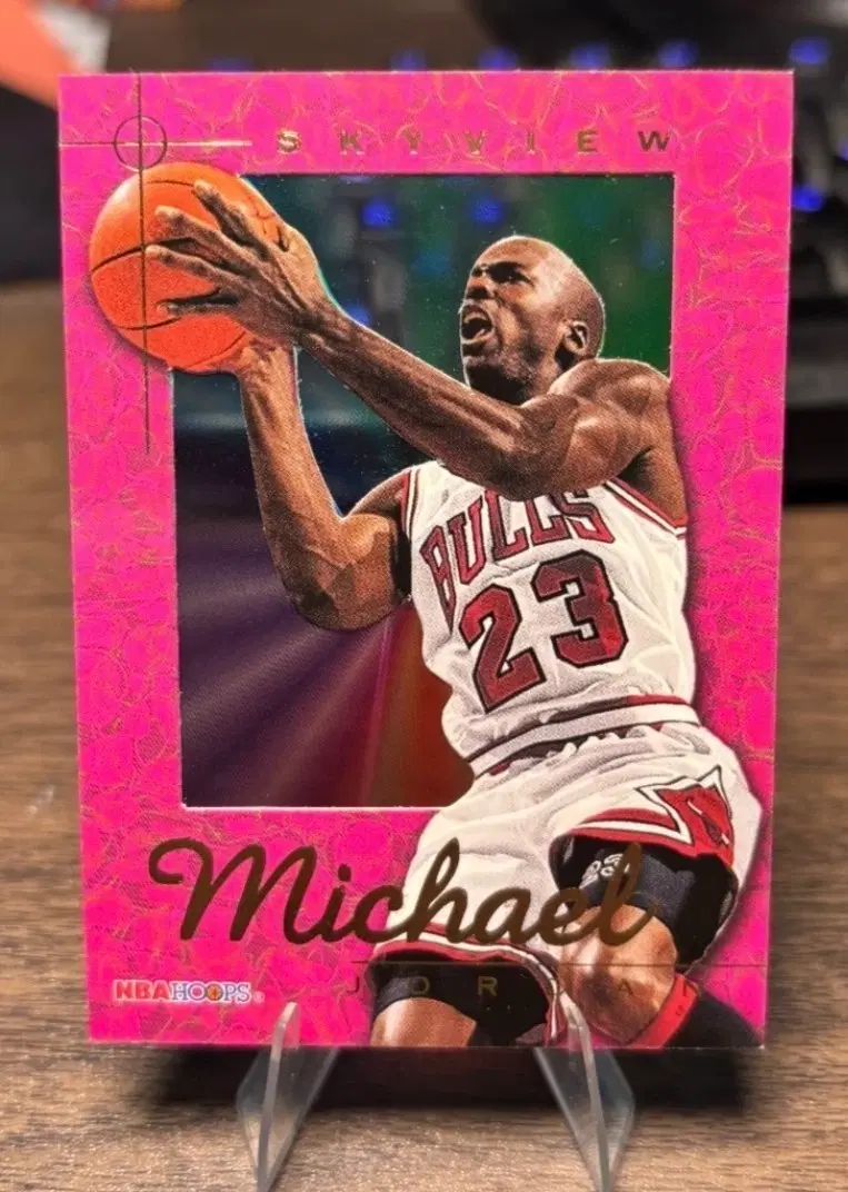 95-96 NBA Hoops jordan skyview