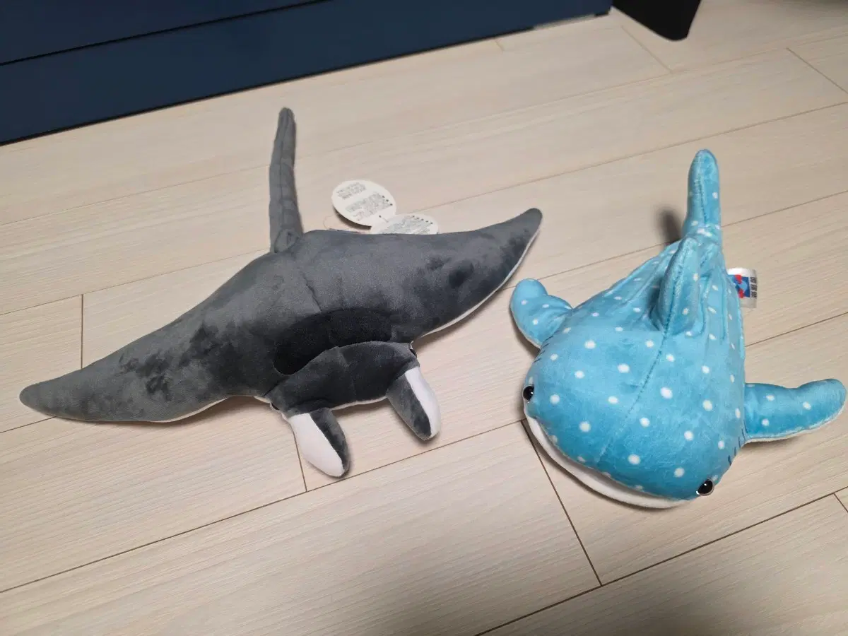 오사카 해유관 고래상어, 쥐가오리 인형 일괄