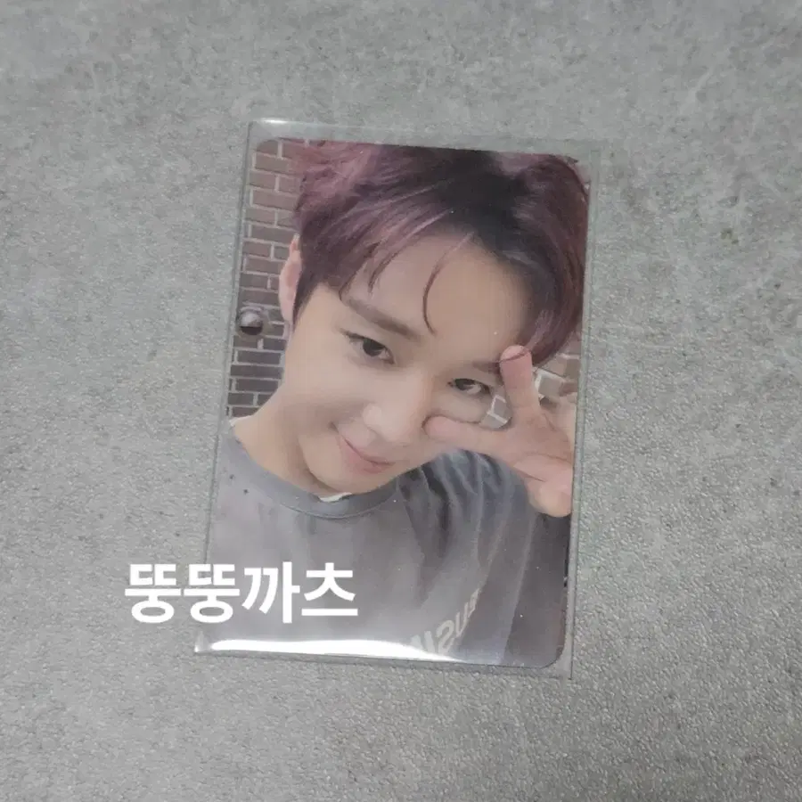 박지훈 더벤티 포토카드 포카